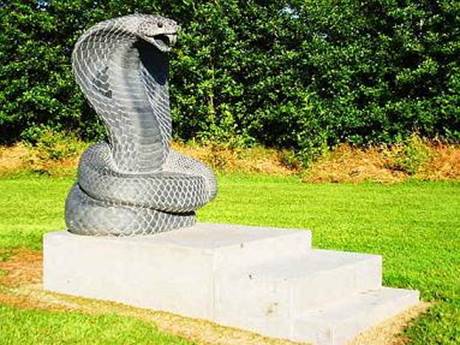 The Naga Throne
The Wisdom Seat